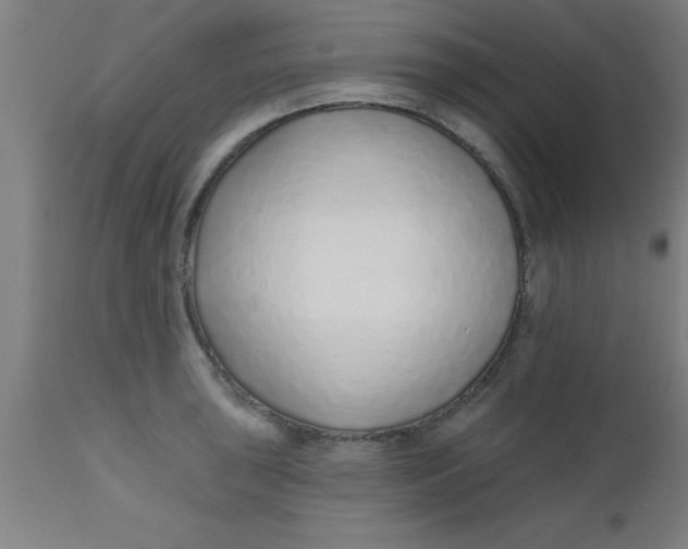 X0000112521043200909071329