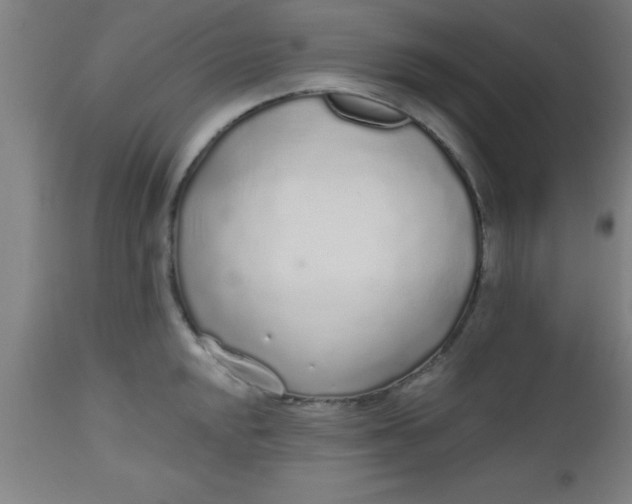 X0000112521048200909071329