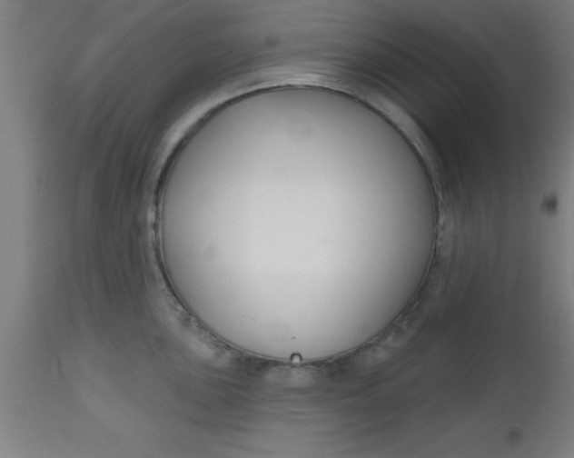 X0000112521051200909071329