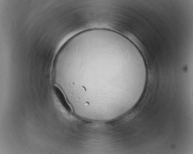 X0000112521052200909071329