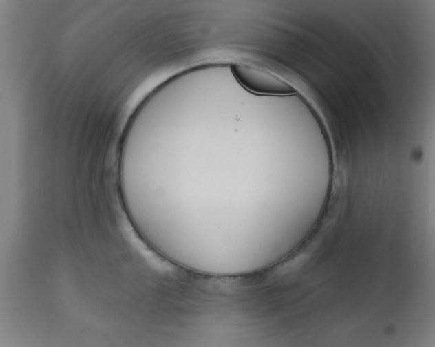 X0000112521053200909071329