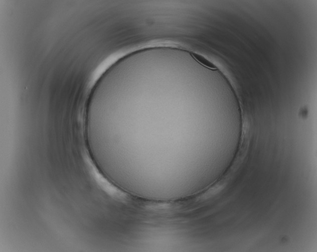 X0000112521054200909071329