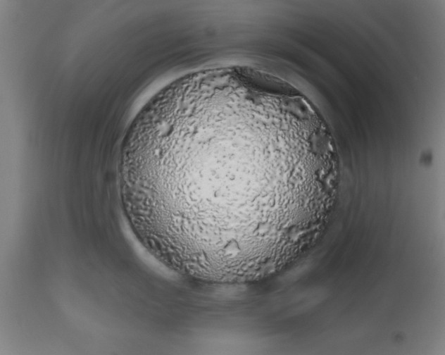 X0000112521055200909071329