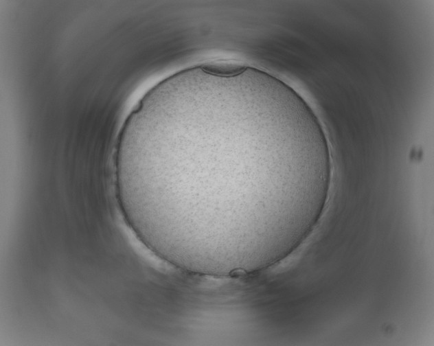 X0000112521056200909071329