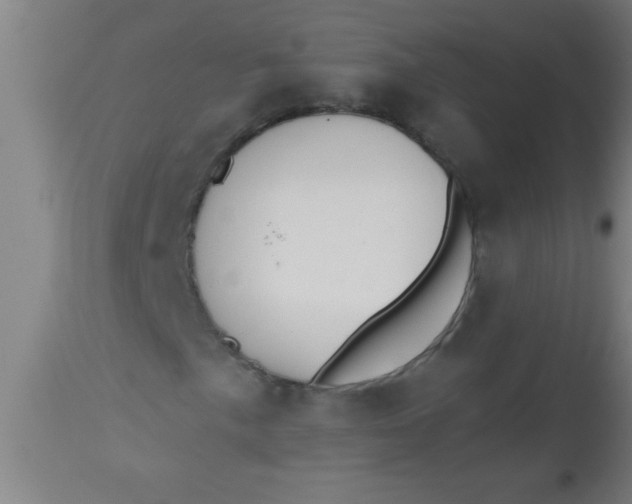 X0000112521057200909071328