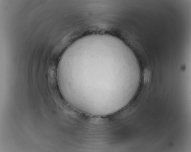 X0000112521059200909071328