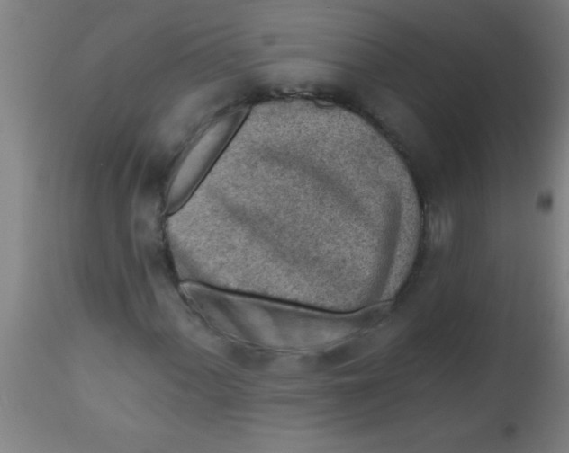X0000112521060200909071328