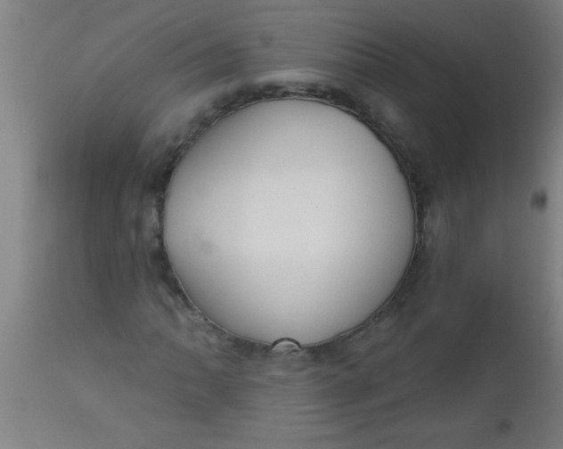 X0000112521062200909071328