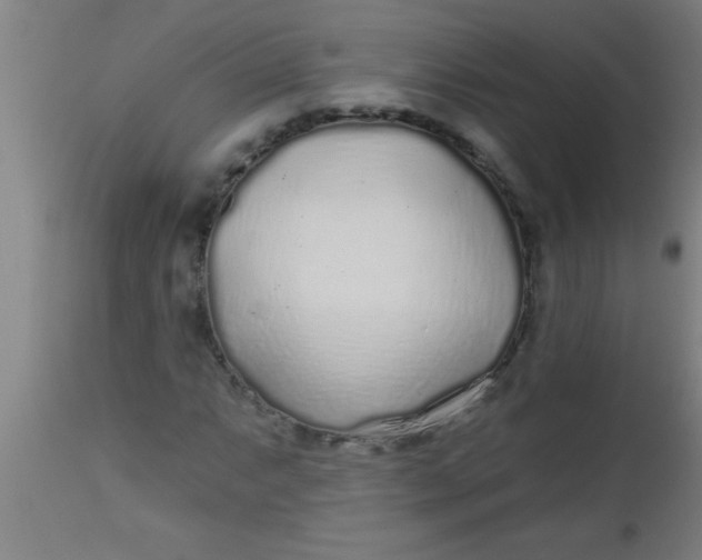 X0000112521063200909071328