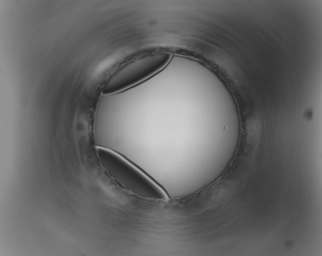 X0000112521064200909071328