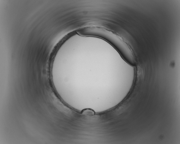 X0000112521068200909071328