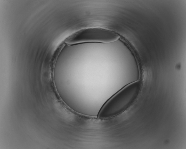 X0000112521069200909071328