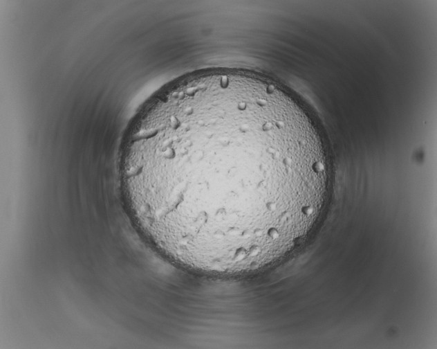 X0000112521071200909071328