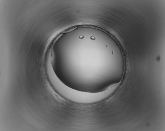 X0000112521072200909071328
