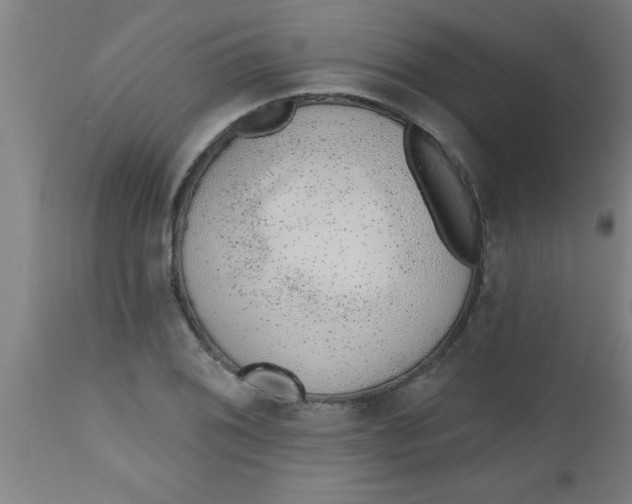 X0000112521076200909071328