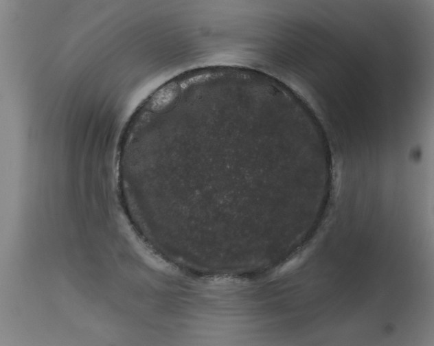 X0000112521077200909071328