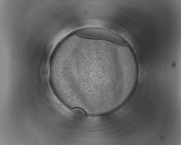 X0000112521080200909071328