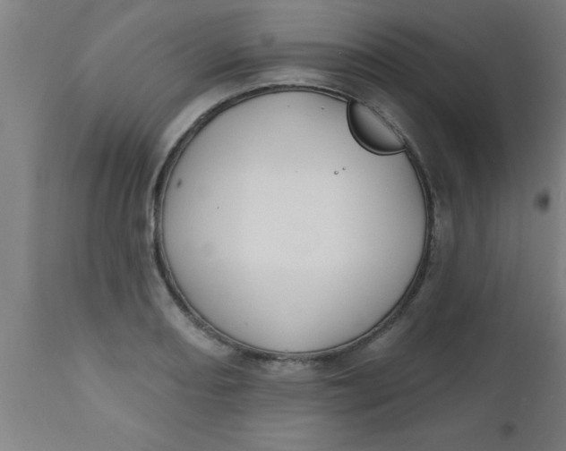 X0000112521082200909071328