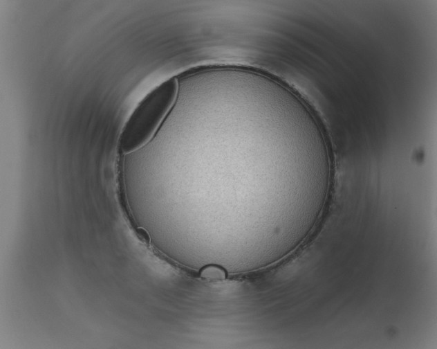 X0000112521085200909071328