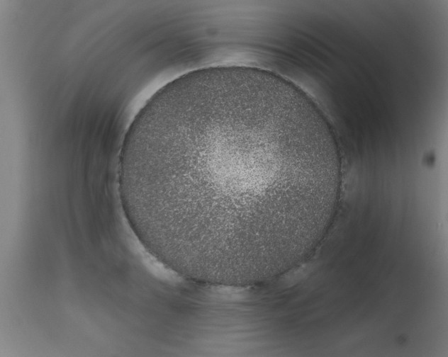X0000112521086200909071328