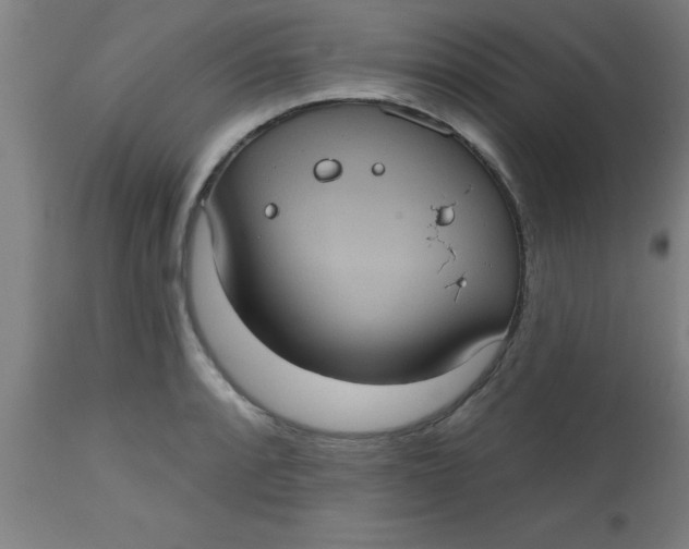 X0000112521088200909071328