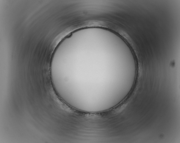 X0000112521089200909071328