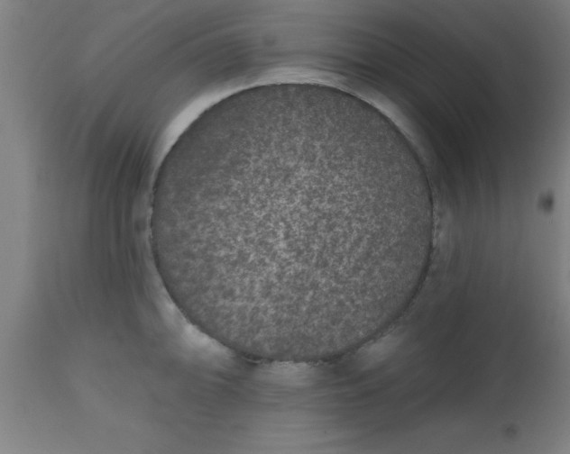 X0000112521094200909071328