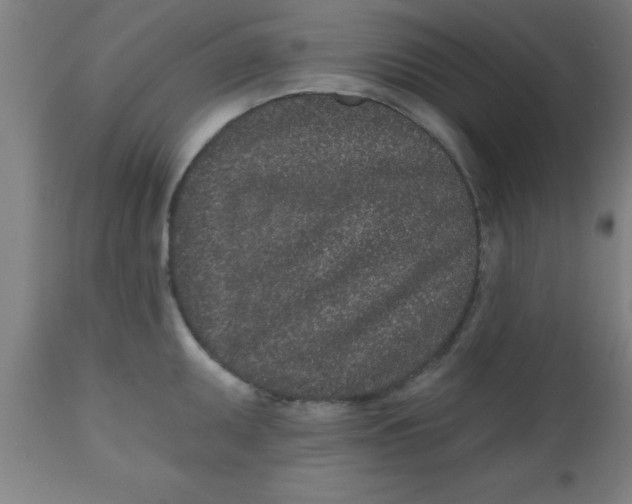 X0000112521095200909071328