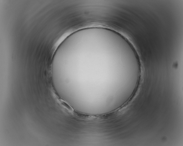 X0000112521097200909071328