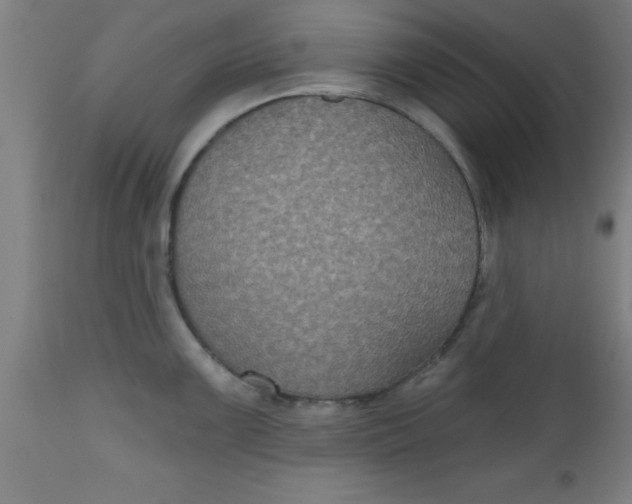X0000112521099200909071328