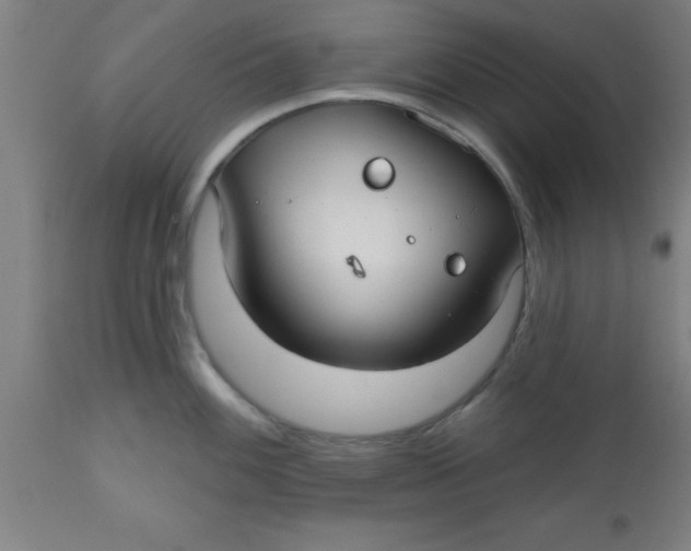 X0000112521100200909071328
