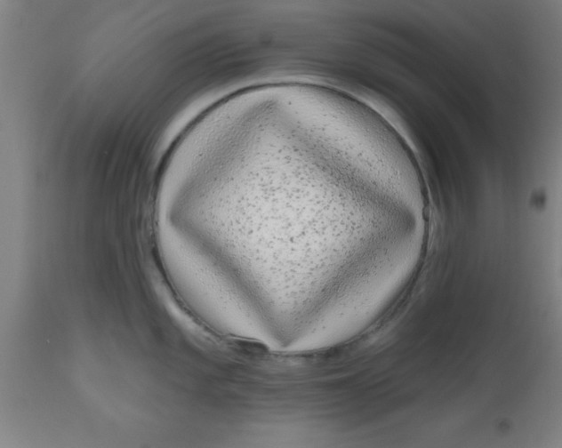 X0000112521101200909071328