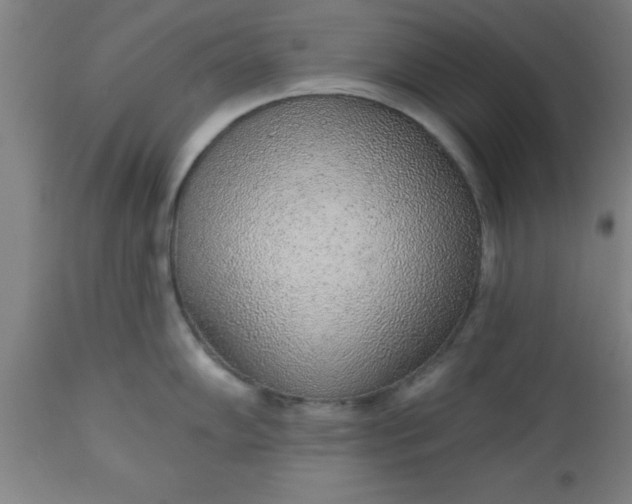 X0000112521102200909071328