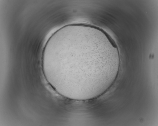 X0000112521104200909071327