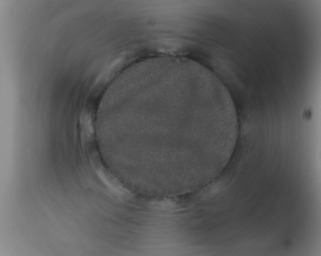 X0000112521106200909071326
