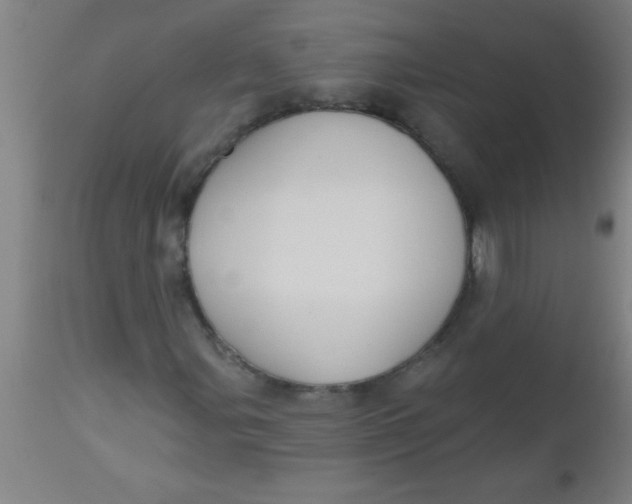 X0000112521107200909071327
