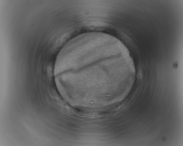 X0000112521108200909071327