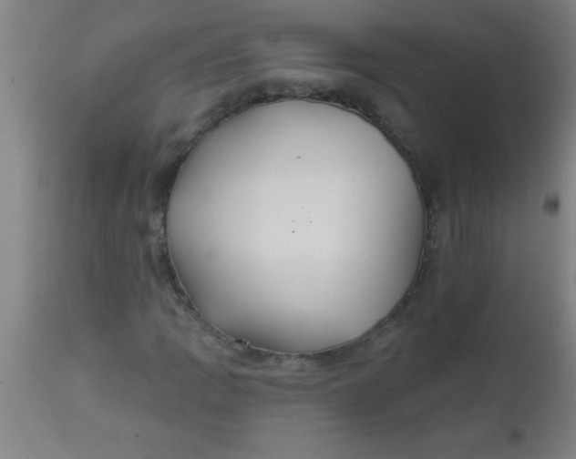 X0000112521109200909071327