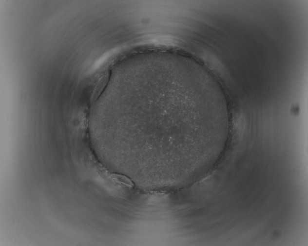 X0000112521110200909071327