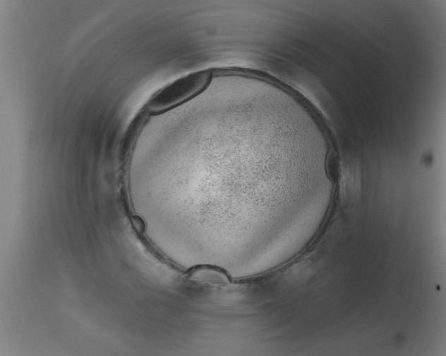 X0000112521116200909071327