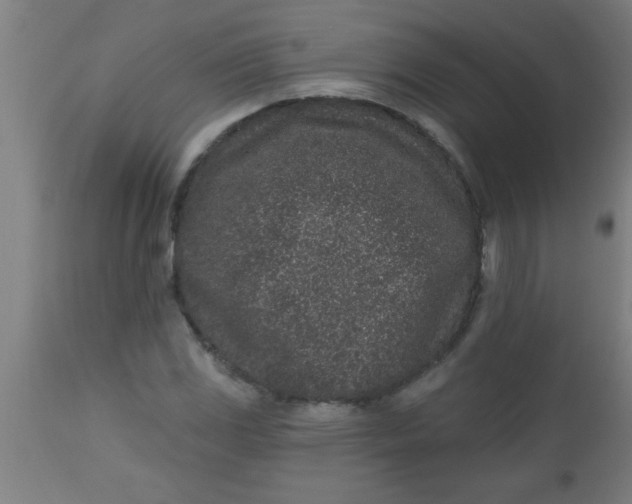 X0000112521117200909071327