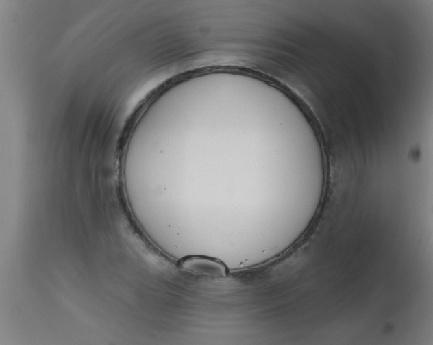 X0000112521119200909071327