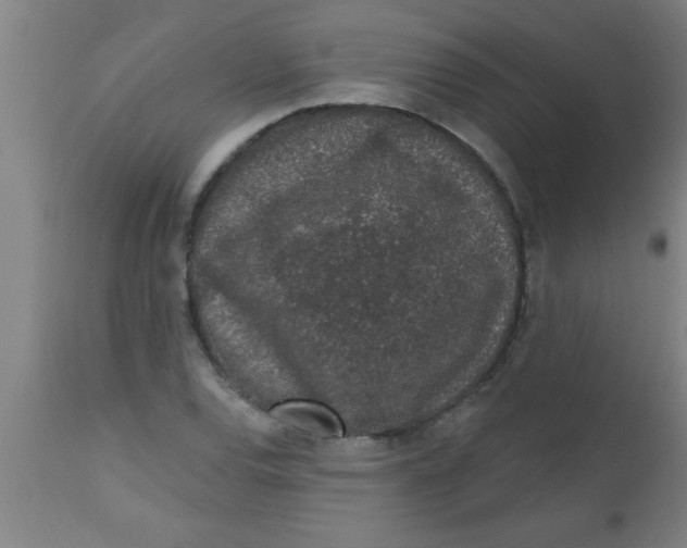 X0000112521120200909071327