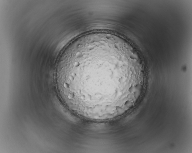 X0000112521121200909071327