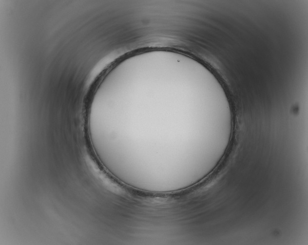 X0000112521122200909071327