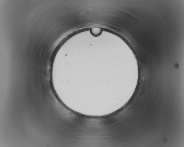 X0000112521126200909071327