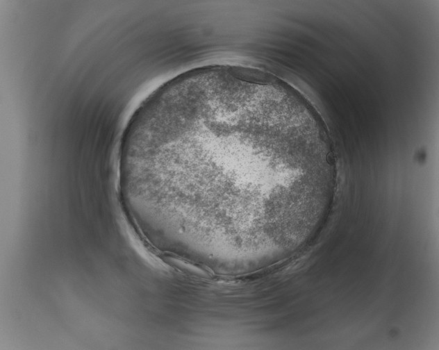 X0000112521128200909071327