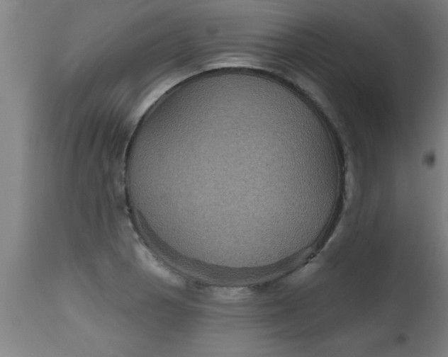 X0000112521129200909071327