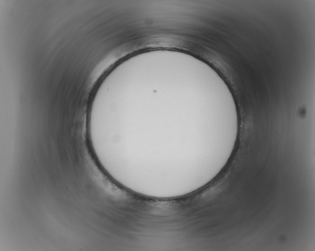 X0000112521130200909071327
