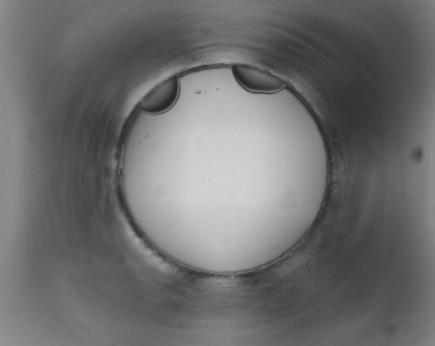 X0000112521134200909071327